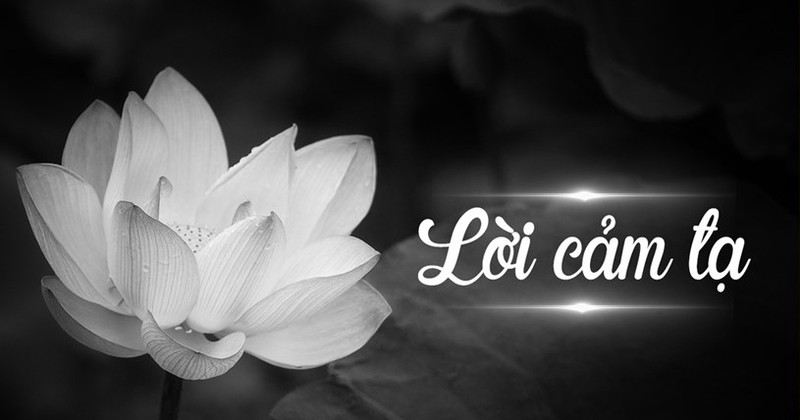 Tổng hợp 10 lời cảm ơn sau đám tang trên Zalo ý nghĩa nhất 1 Lời cảm ơn sau đám tang trên Zalo